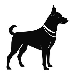 Silhouette of dog standing alert with leash on transparent background