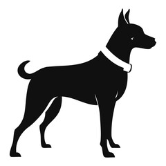 Dog Standing alert with leash black silhouette on transparent background