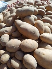 Close-up of fresh, unwashed potatoes at a farmer's market, perfect for rustic food photography, organic farming, or culinary themes.