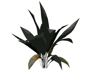 Iron plant vector illustration