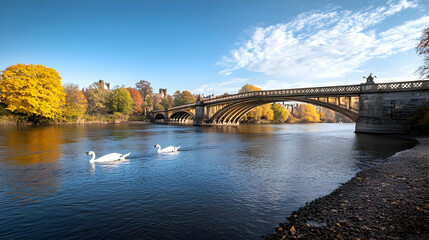 Obraz premium Autumn Scenic View Of Stone Bridge And River With Swans