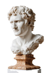 Obraz premium Classical Marble Bust Sculpture of a Male Figure with Curly Hair