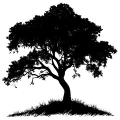 Silhouette of a tree standing on a grassy hill during sunset