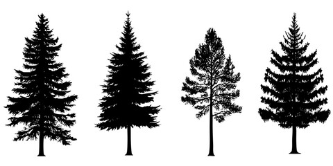 Different types of trees in vector form showcasing various shapes and silhouettes for design