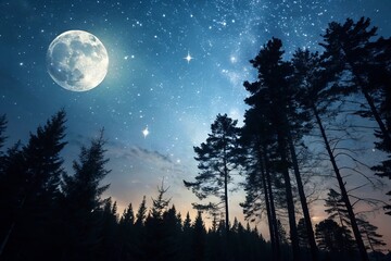 Moonlit Forest Scene