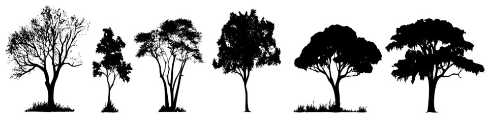 Various vector tree silhouettes showcasing different styles and forms in black color