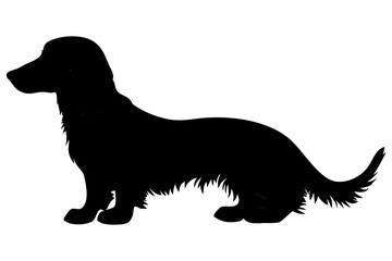 Long-haired dog silhouette in vector form against a plain background