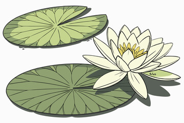 92 Lily pad, bright green leaf, floating on water, white delicate flower, botanical illustration, high detail, soft lighting, nature study, minimalist composition, serene atmosphere, close-up view, re