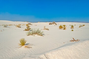 White Sands National Park is a national park of the United States located in New Mexico. It's  the...