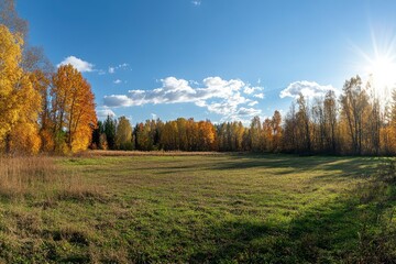 Autumn Meadow with Trees and Sky