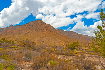 Guadalupe Mountains National Park  in west Texas