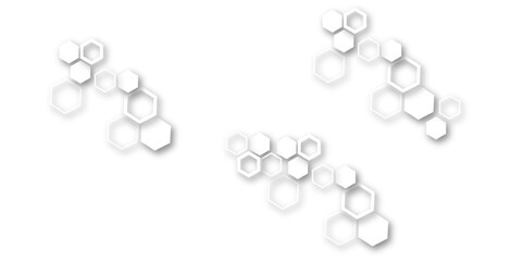Abstract white and grey hexagon technology geometric pattern concept white background. Use for template, wallpaper, website vector illustration.	