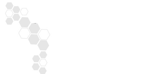 Abstract white and grey hexagon technology geometric pattern concept white background. Use for template, wallpaper, website vector illustration.	