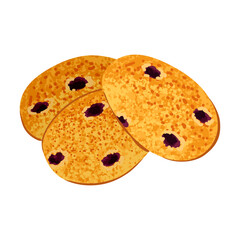 Vector Colorful Illustration of Blueberry Сookies Isolated on White Background