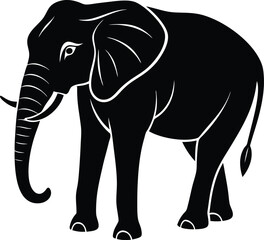 Fototapeta premium elephant isolated on white