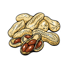 Colored peanut cluster in hand drawn engraving style