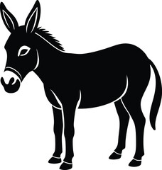 Fototapeta premium donkey isolated on white background
