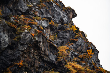 A majestic Rocky cliff adorned with vibrant autumn foliage creates a breathtaking scene