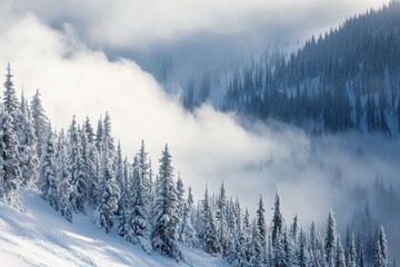 Winter Mountains. Foggy Day at Whitewater Ski Resort, British Columbia, Canada