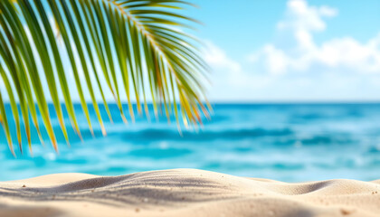 tropical beach with palm trees
