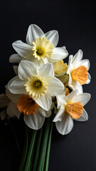 Osterblume auf Schwarzem Hintergrund Design Dekorativ 