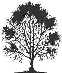 Obraz premium Simple Nature Tree Vector Art