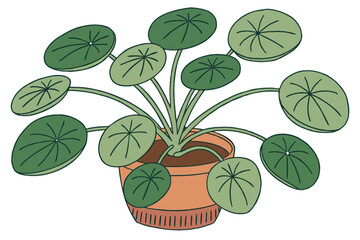 95 Pilea peperomioides, Chinese money plant, UFO plant, terracotta pot, green round leaves, houseplant, indoor plant, minimalist, clean background, botanical photography, soft lighting, vibrant green,