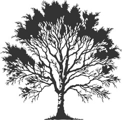 Obraz premium Black Tree Graphic on White Background