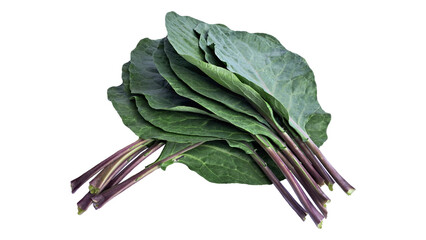Natural organic green cabbage stalk. Couve. Cabbage leaves. Cabbage is the common generic name for...