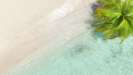 Tropical white sand beach with calm turquoise water and palm trees under blue sky, serene atmosphere for summer travel, hotel, resort, family vacation