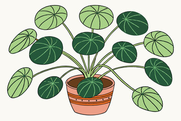 95 Pilea peperomioides, Chinese money plant, UFO plant, terracotta pot, green round leaves, houseplant, indoor plant, minimalist, clean background, botanical photography, soft lighting, vibrant green,