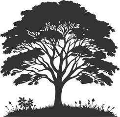 Decorative Tree Silhouette Vector