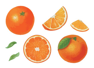 さまざまなオレンジの水彩風イラストセット　生成AI