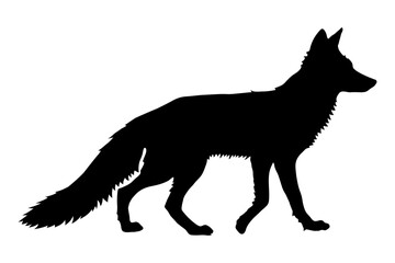 Silhouette of a Fox Walking Gracefully Against a Transparent Backdrop. Vector Silhouettes of a Fox