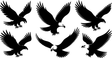 Obraz premium Adobe Illustrator Artwork