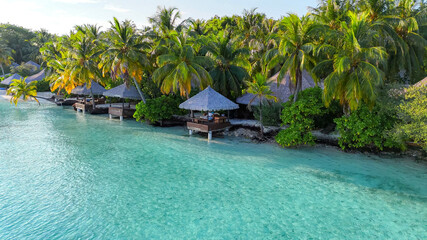 Tropical white sand beach with calm turquoise water and palm trees under blue sky, serene atmosphere for summer travel, hotel, resort, family vacation