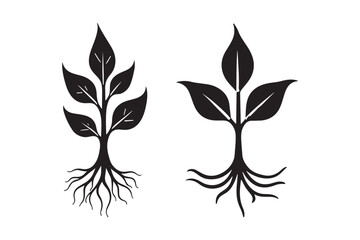 Plant Roots and Leaves Silhouette Vector Nature Growth Symbol Icons