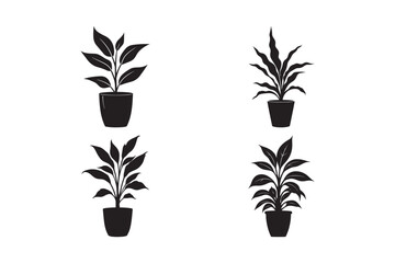 Potted Indoor Plant Silhouette Vector Home Decor Botanical Icons