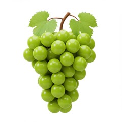 Fototapeta premium Fresh shine muscat grapes on white background closeup isolated on white background