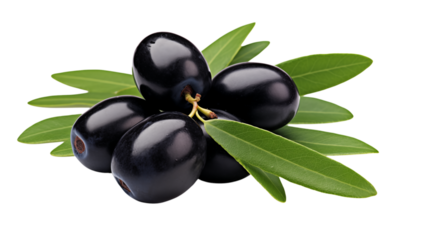 A close up shot of a cluster of black olives with green leaves on a transparent background studio shot png