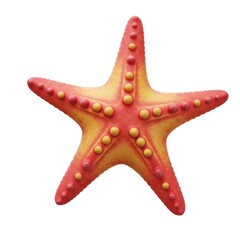 Starfish summer ocean sea life marine animal image isolated on white background