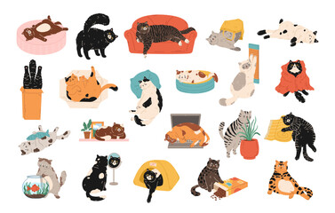 Funny set of cute cat life. Pet kitten home life: actions, scenes with scratching post, toys, bed, box, pillow, bag, food, plant. Hand drawn cartoon flat illustration for print, sticker, scrapbooking © Anastasiya Stoma