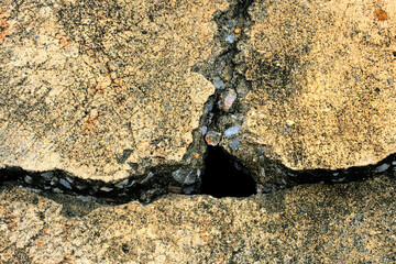 stone wall texture