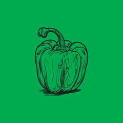 Bell Pepper Black and White Line Art Illustration,Hand Drawn Bell Pepper Outline Drawing,Simple Bell Pepper Sketch for Coloring,Realistic Bell Pepper Line Art Vector,Vegetable Bell Pepper Black