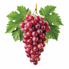 Fototapeta premium abstract 3d fresh bunch grapes in different style isolated on white background