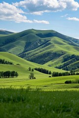 Naklejka premium arafed view of a green valley with a few trees and hills