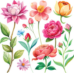 nature colorful flower vector image