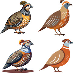 Vector dove, sparrown, woodspecker and parakeet bird icon set design 