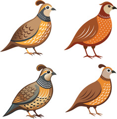 Vector dove, sparrown, woodspecker and parakeet bird icon set design 
