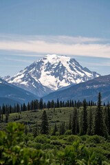 Obraz premium arafed mountain with snow on top and trees in the foreground
